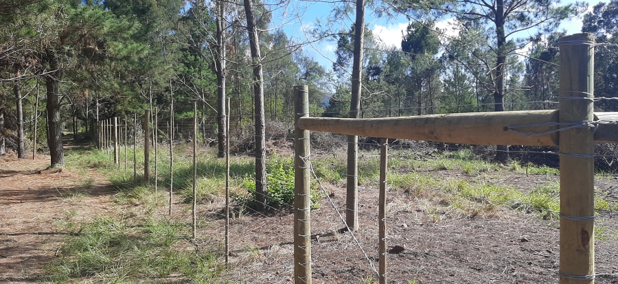 Commercial Property for Sale in Friemersheim Western Cape